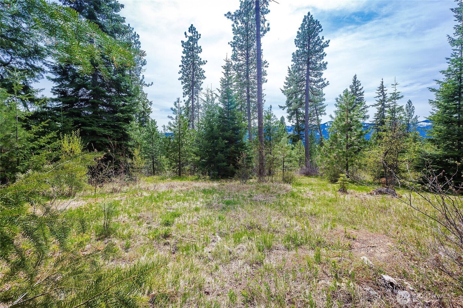 Property Photo:  0 Lot H  R&R Heights Drive  WA 98941 