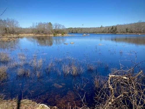 74 Blue Pond Trail  Hopkinton RI 02832 photo
