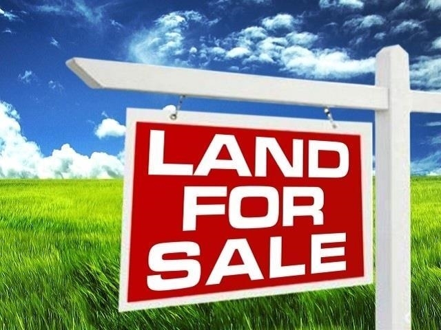 Property Photo: 6245 Hwy 105 TX 77708