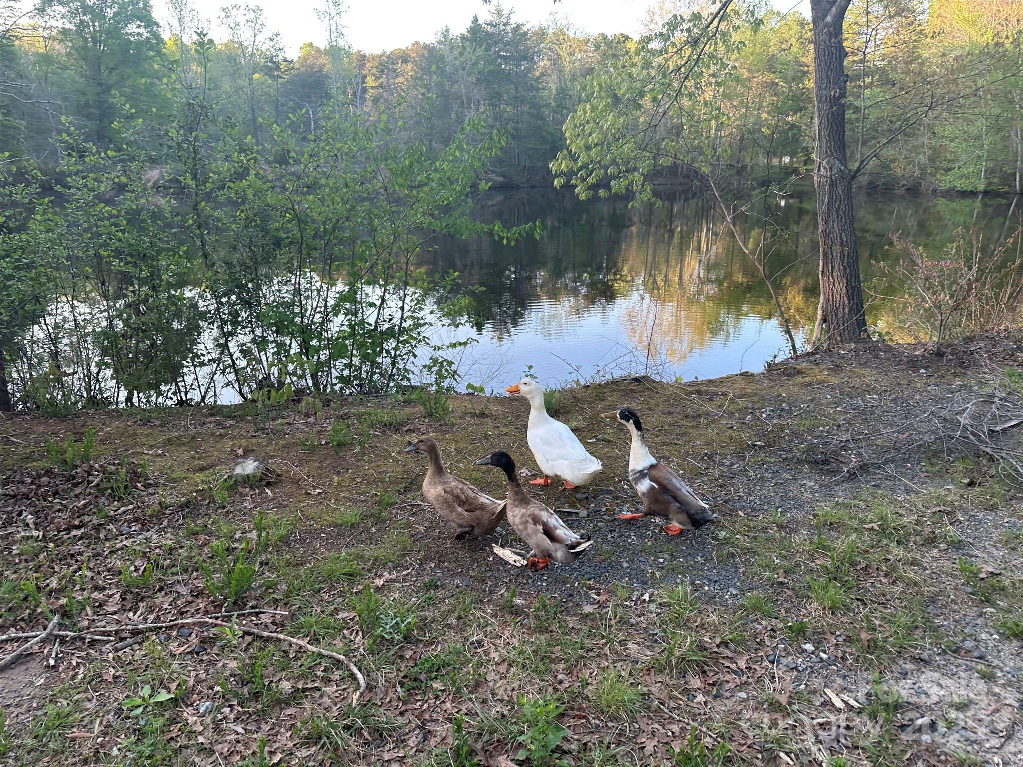 Property Photo:  11155 Highway 52 Highway  NC 28138 