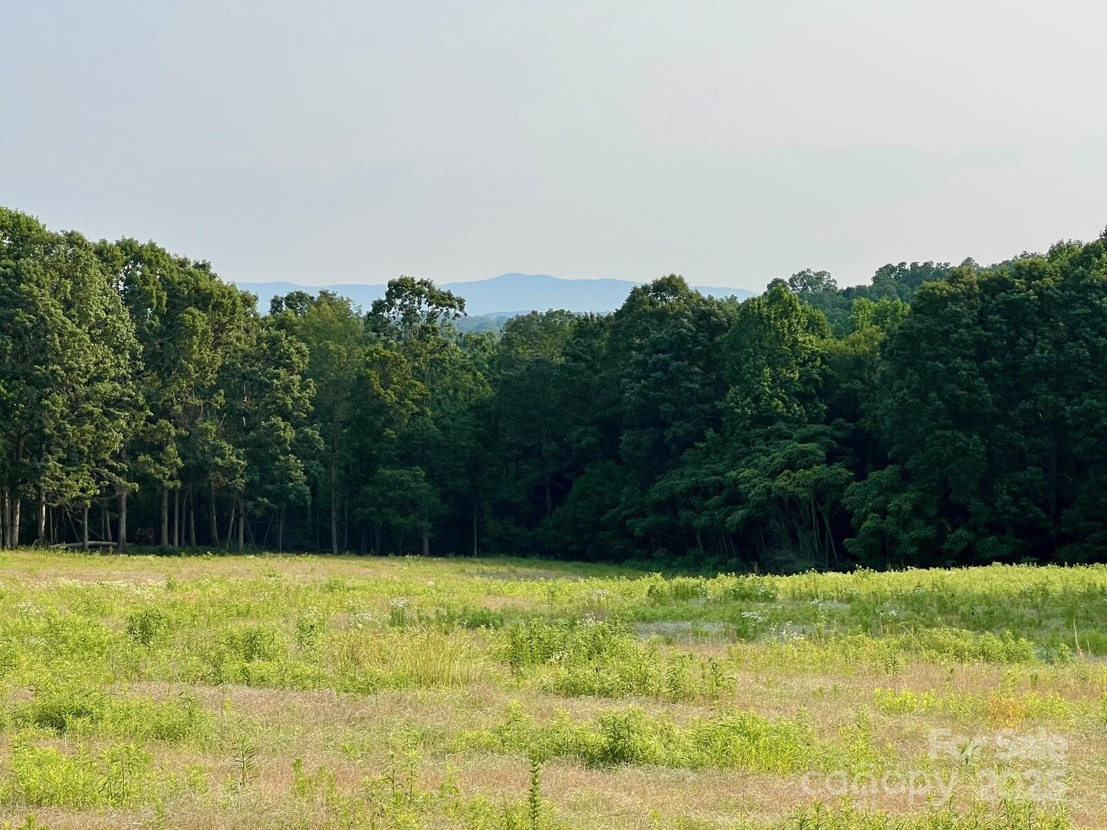 Property Photo: 000 Campfield Church Road NC 28040