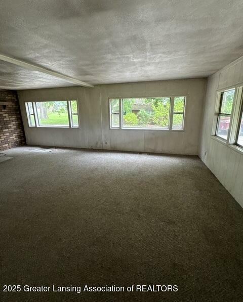 Property Photo: 9882 W M 21 MI 48866