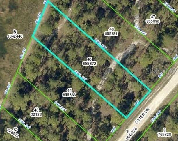 Property Photo: Otter Drive FL 33597