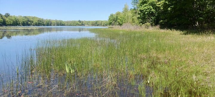 Property Photo:  Vl E Pine Avenue  MI 49457 