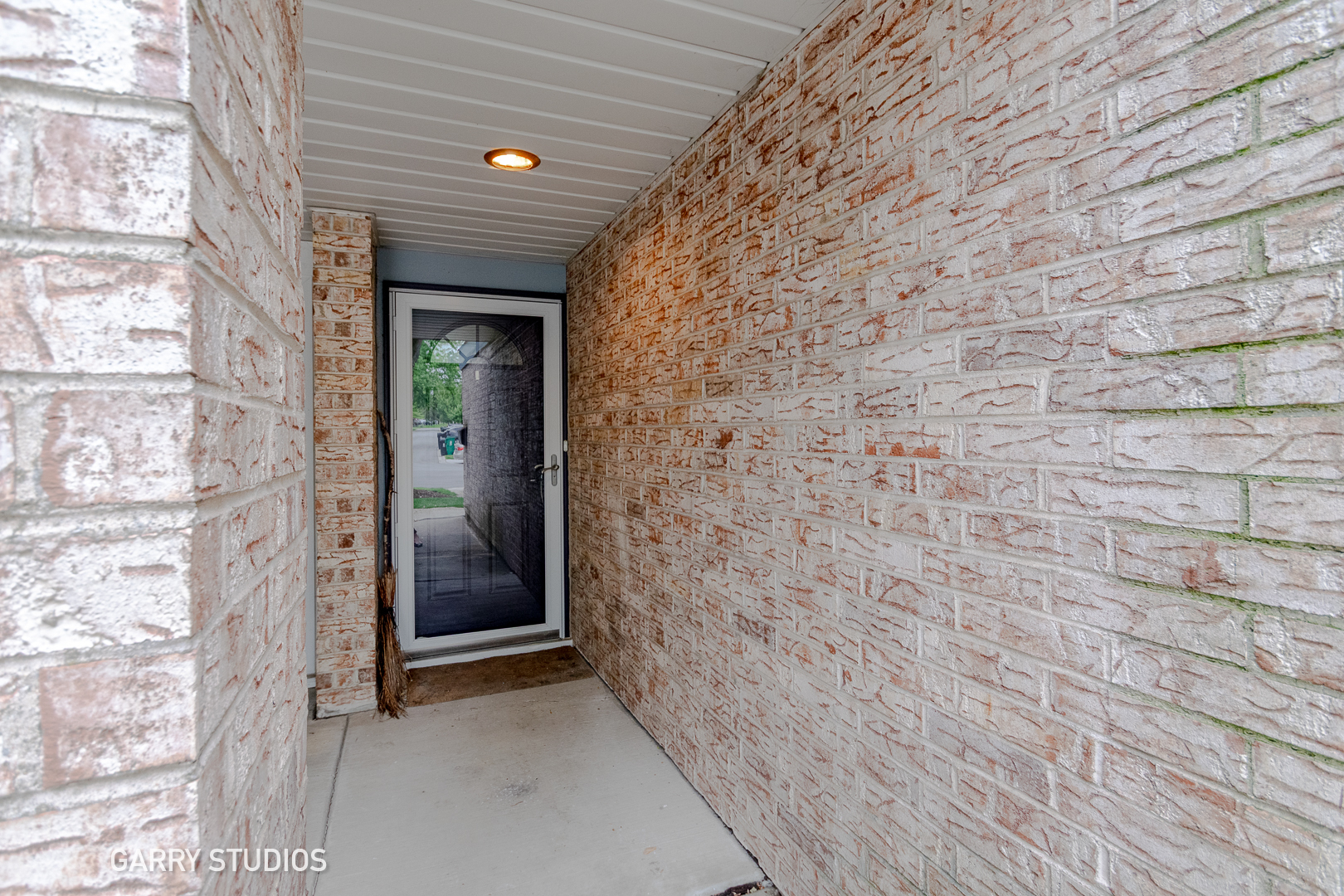 Property Photo:  205 Lakeshore Lane  IL 60108 