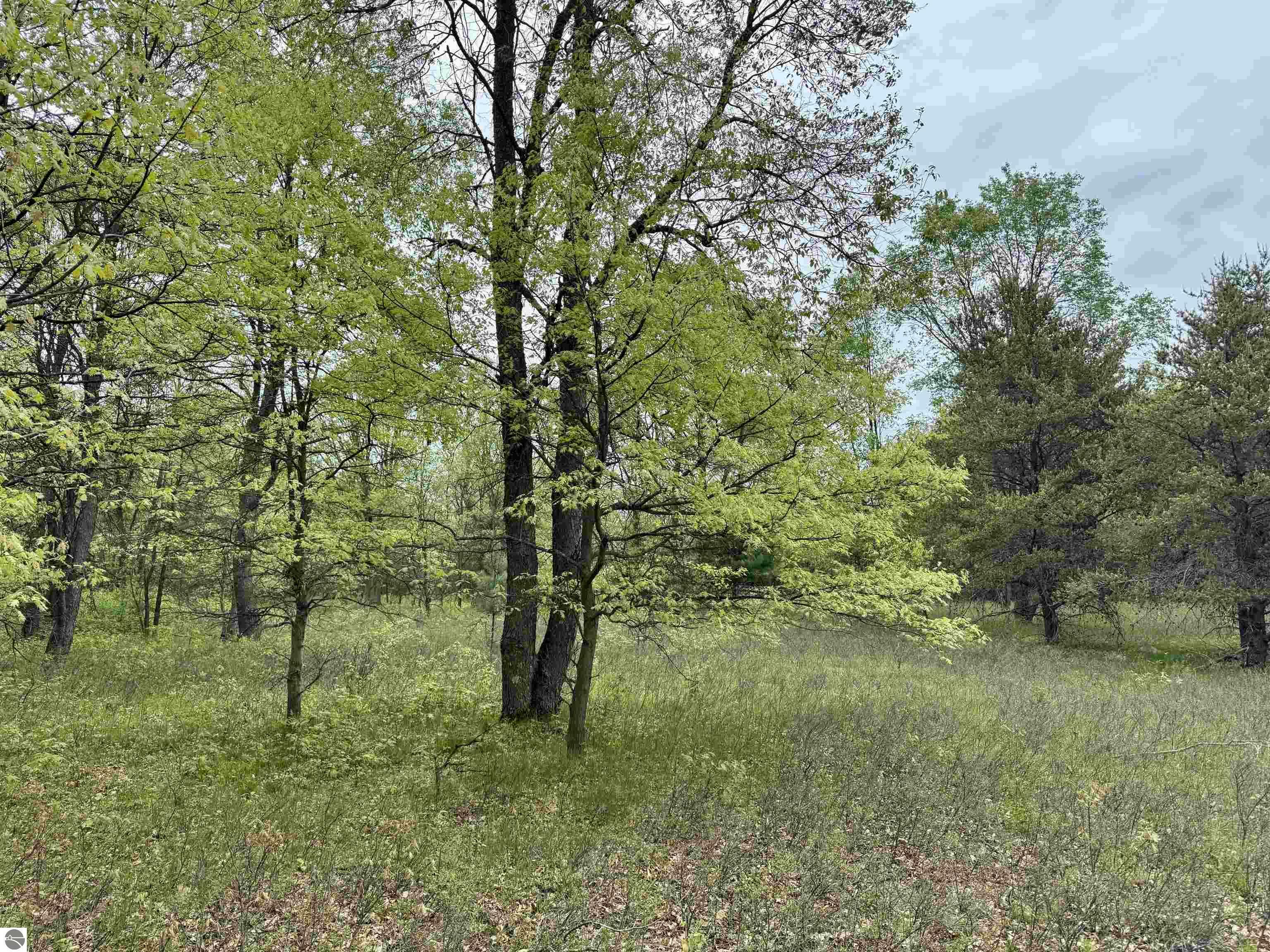 Property Photo: Parcel D Rosted Road MI 49651