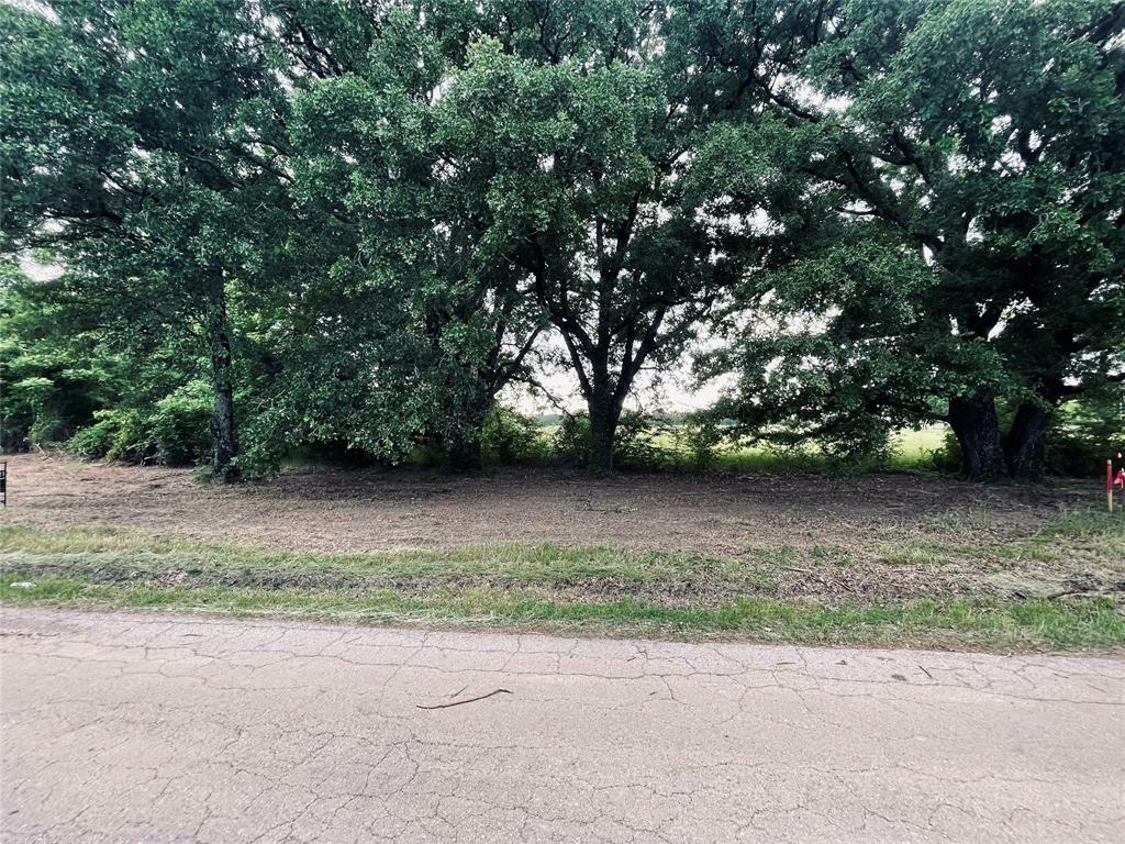 Property Photo: Lot 5 County Road 1560 TX 75410