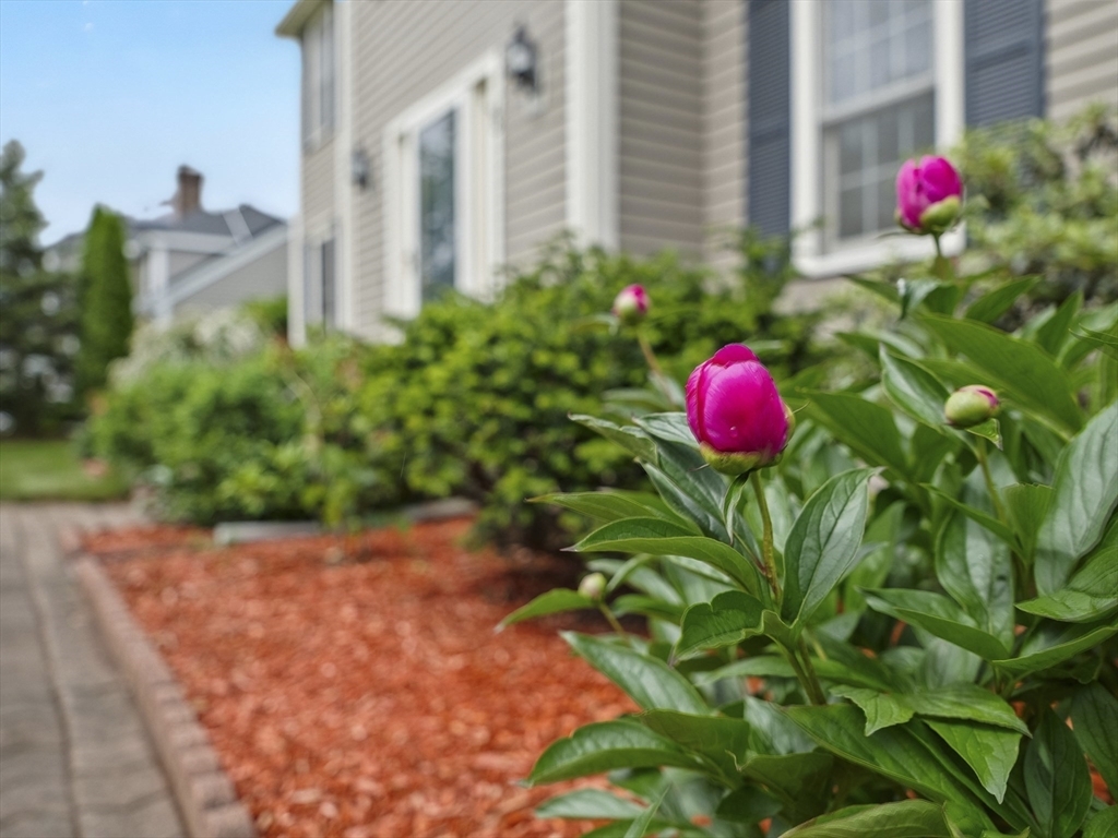 Property Photo:  48 Lexington Drive  MA 01720 