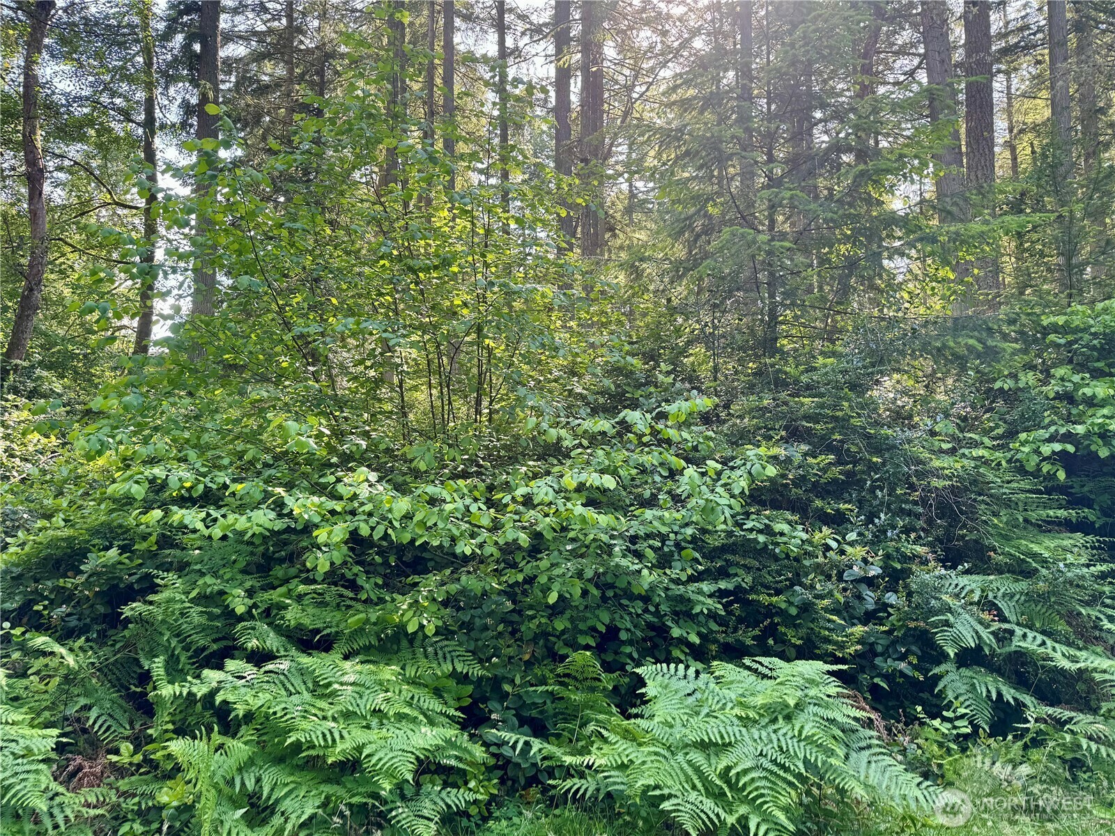 Property Photo: 11011 & 11013 Cascade Place WA 98303