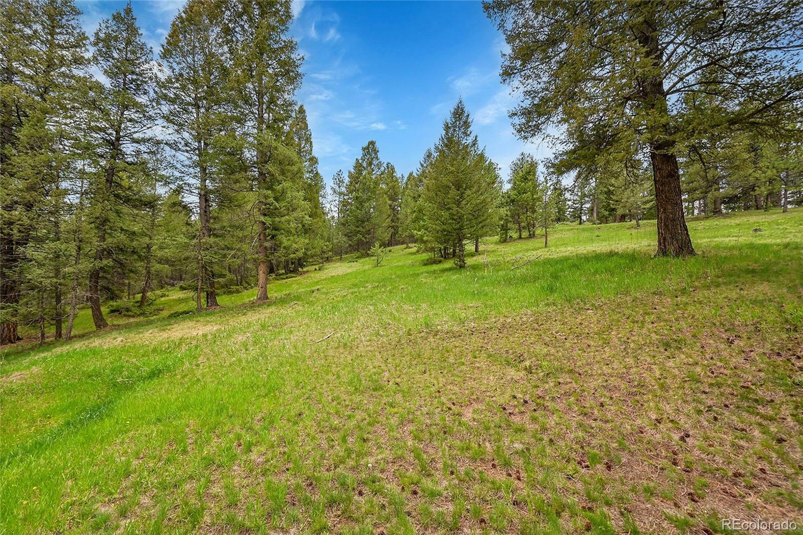 Property Photo: 28065 Camel Heights Circle CO 80439