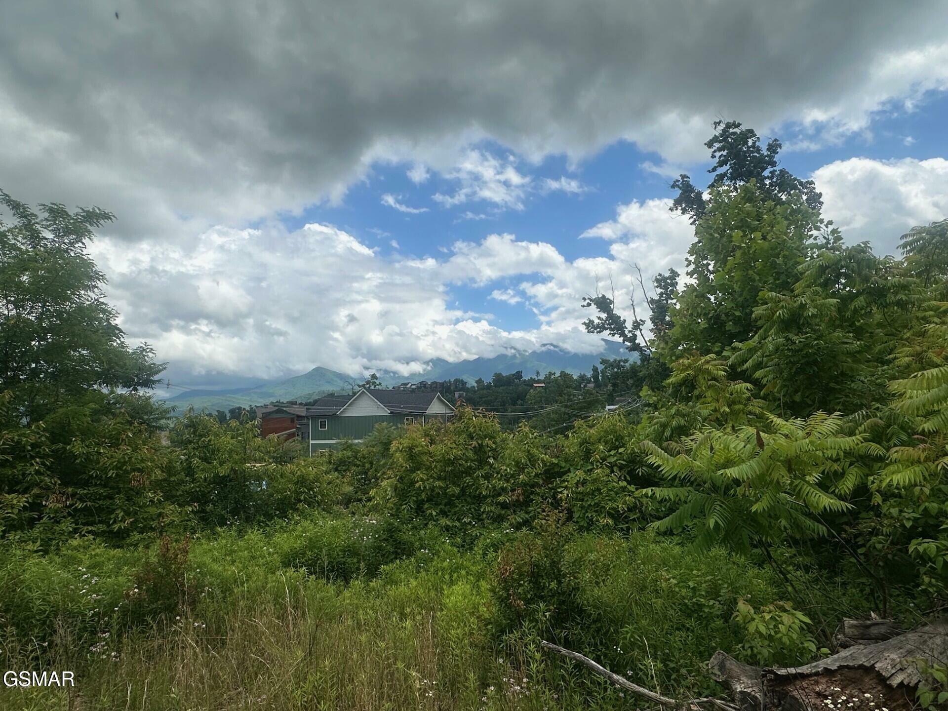 Property Photo: 909 N Woodland Drive TN 37738