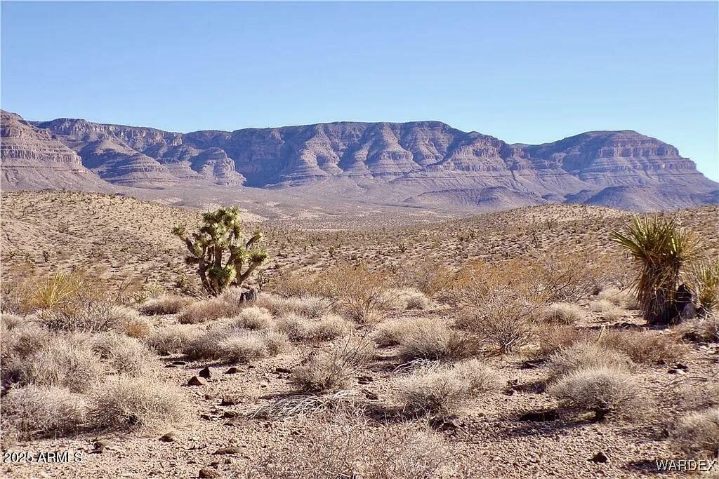 Property Photo: 113 N Pine Avenue 113 AZ 86444