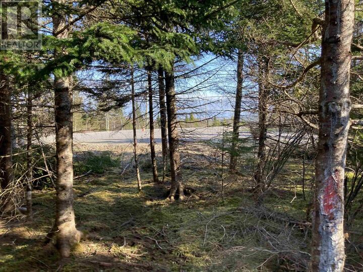 Photo de la propriété:  Lot 21-5 Mary Cecelia Ridge  NS B0H 1P0 