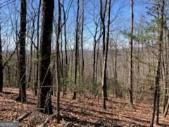 Property Photo: 965 Old Parker Terrace GA 30540
