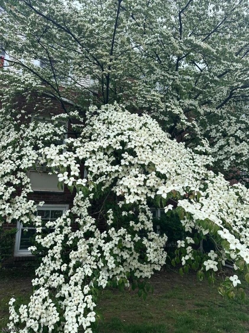 Property Photo:  800 N Broad St 17  NJ 07208 