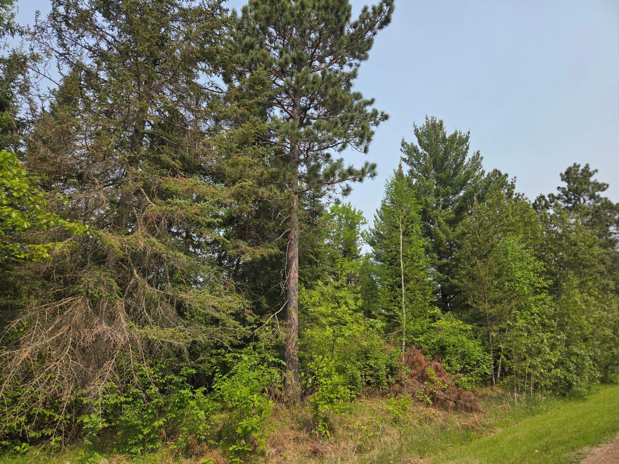 Property Photo: Tbd Graycalm Court SE MN 56601