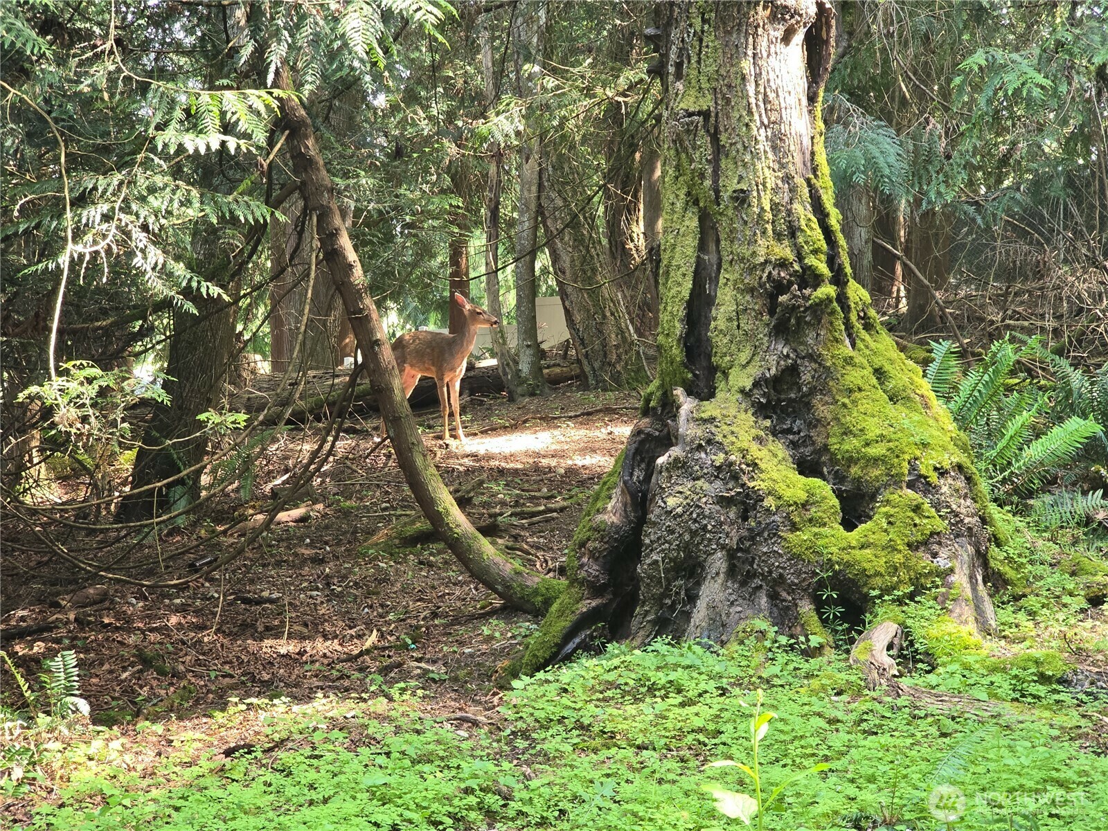 Property Photo: 0 University Point Circle NE WA 98311