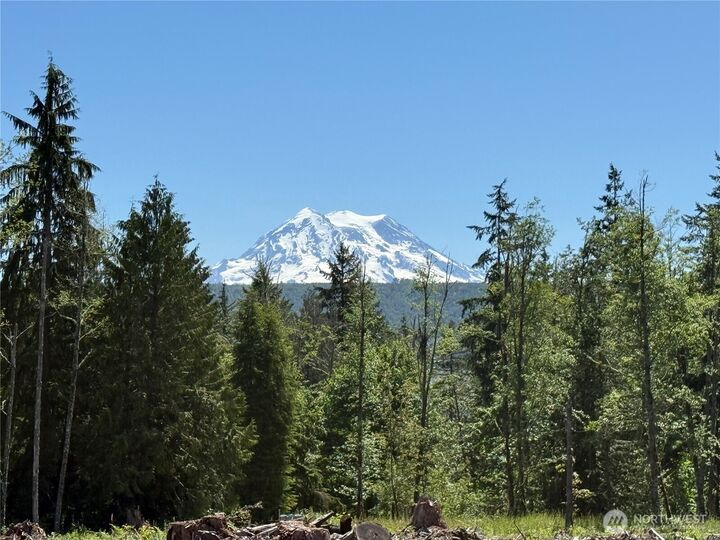 29555  150th Avenue E  Graham WA 98338 photo