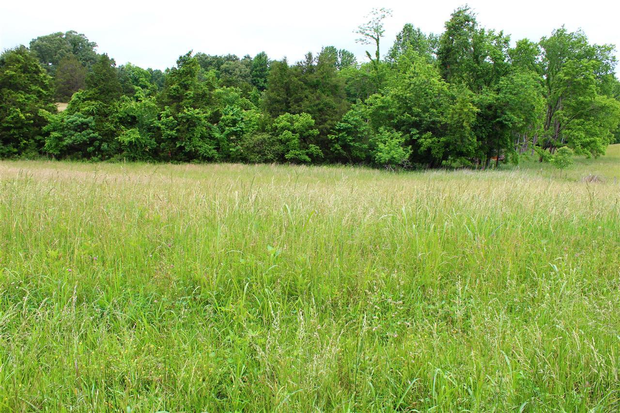 Property Photo:  679 Calvert Road  KY 42120 