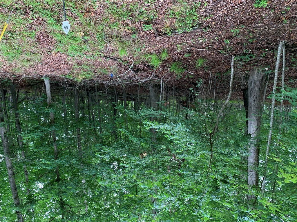 Property Photo: 00 N Foxglove Road Lot #88 SC 29693