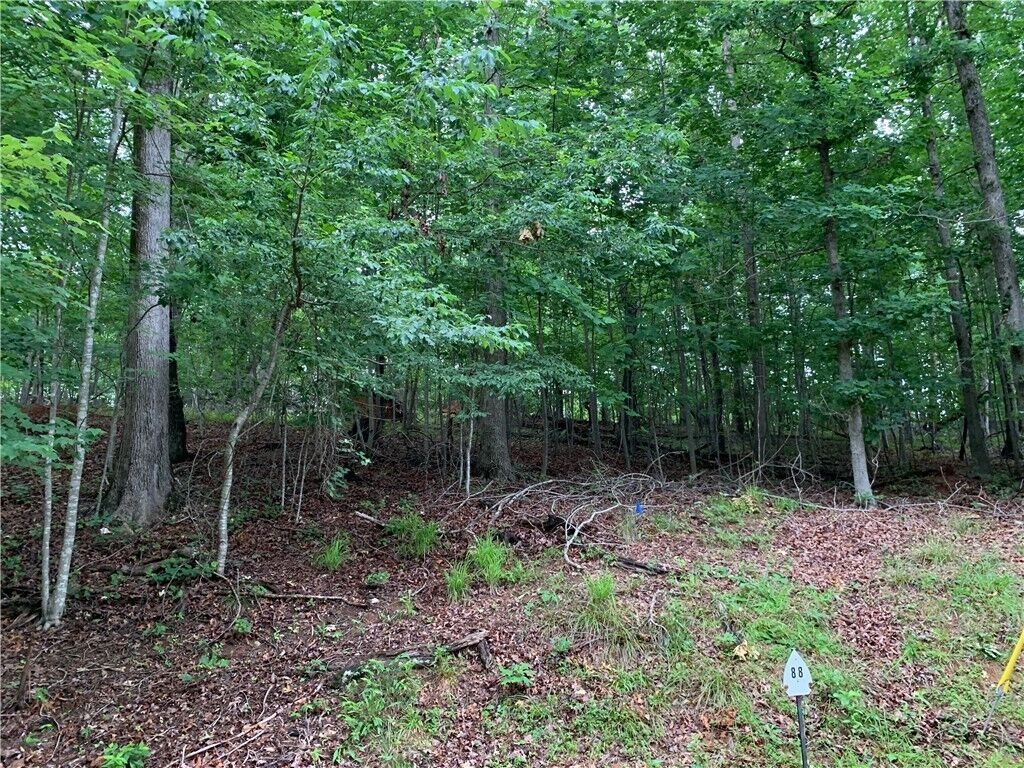 Property Photo: 00 N Foxglove Road Lot #88 SC 29693