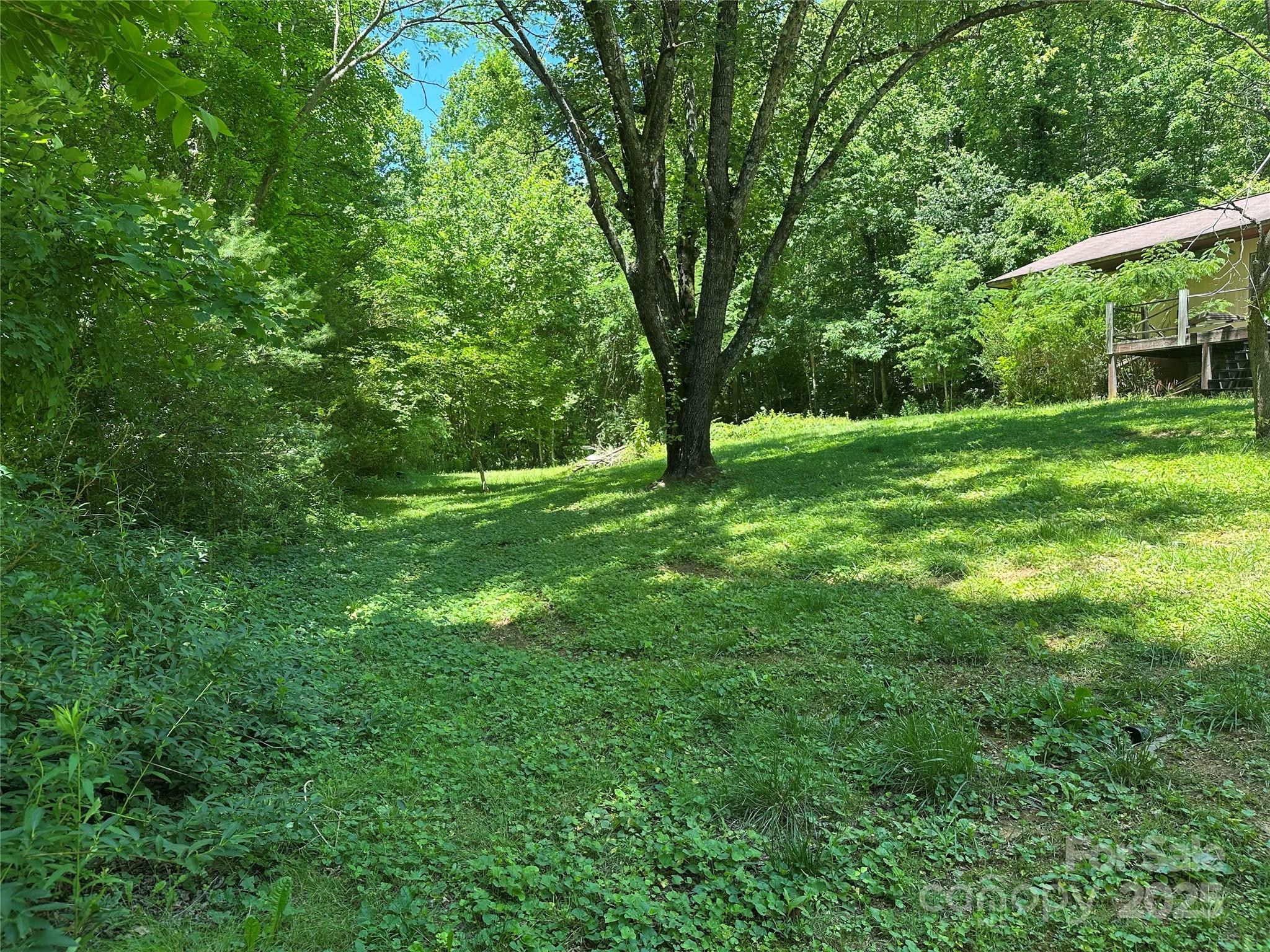 Property Photo: 204 Long Street NC 28752