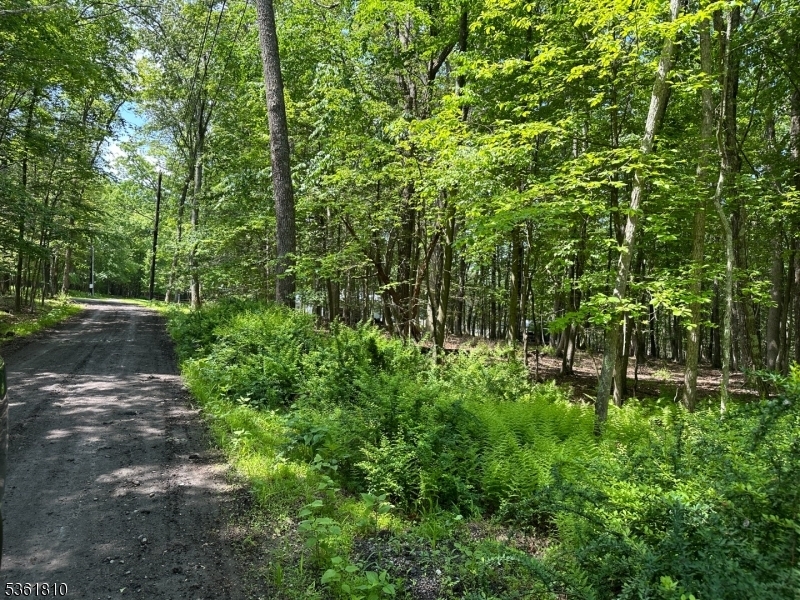 Property Photo:  0 Devita Rd  NJ 07826 