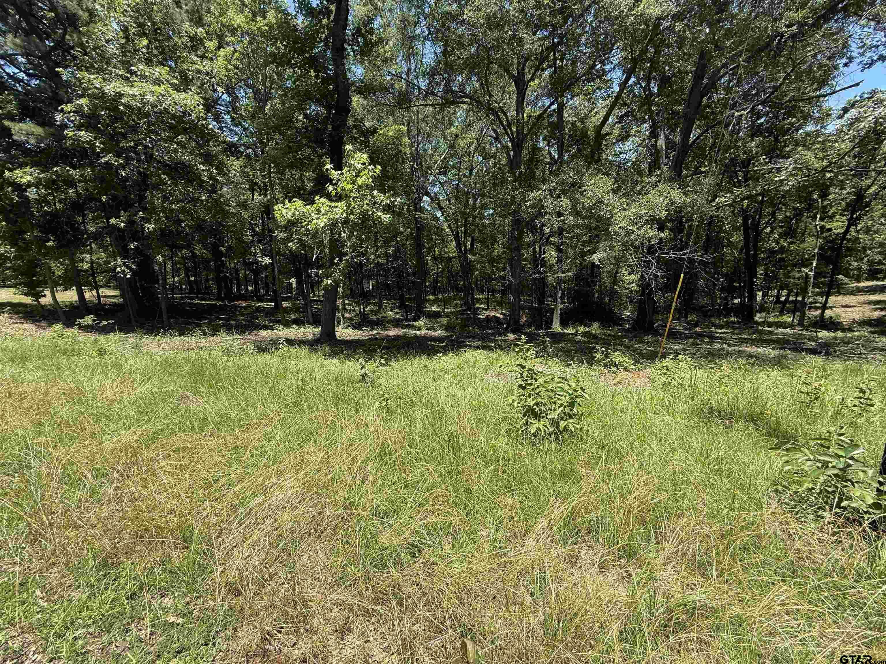 Property Photo: Tbd Pr 5861 (Lot 6) TX 75497