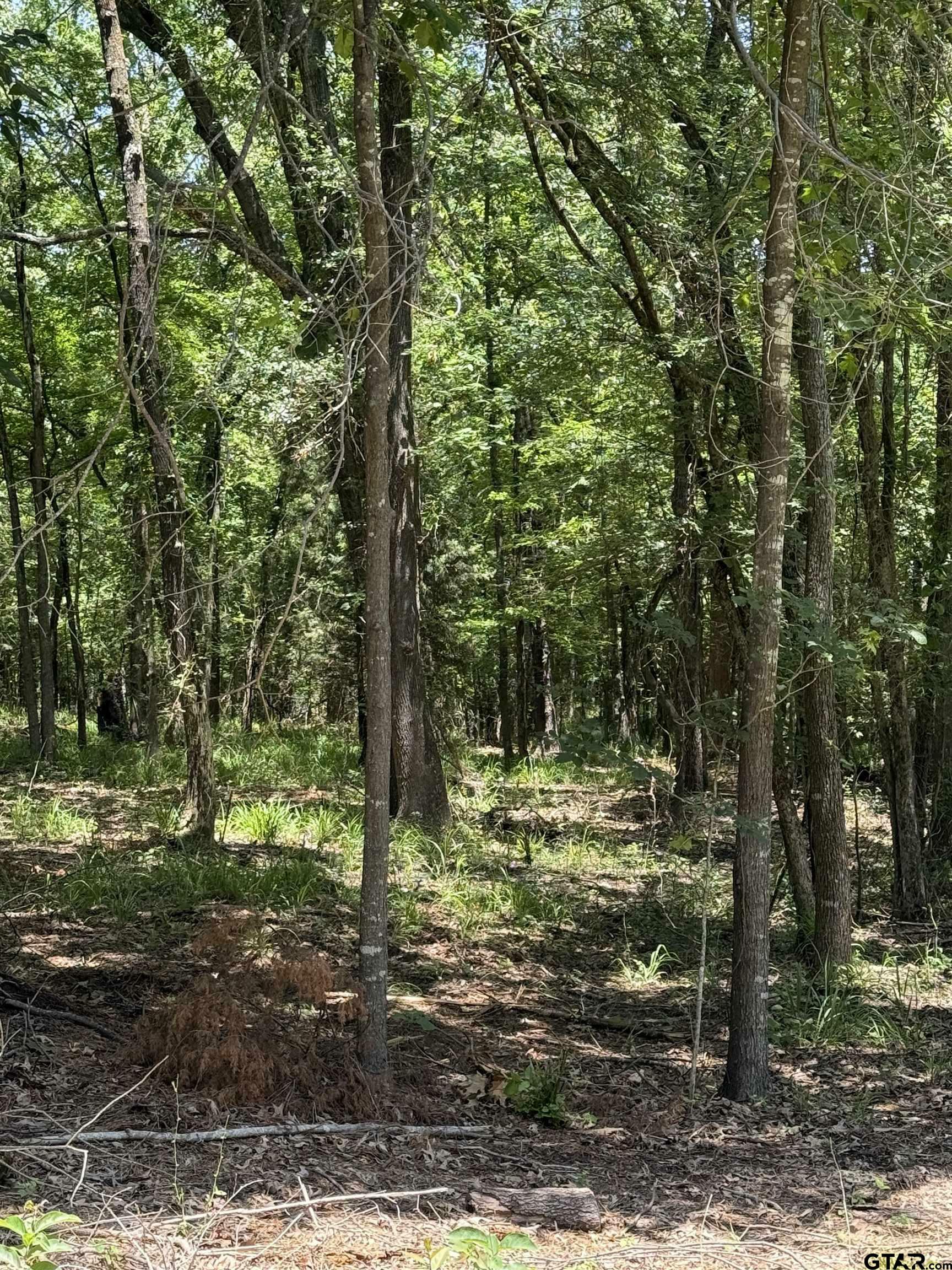 Property Photo: Tbd Pr 5861 (Lot 5) TX 75497