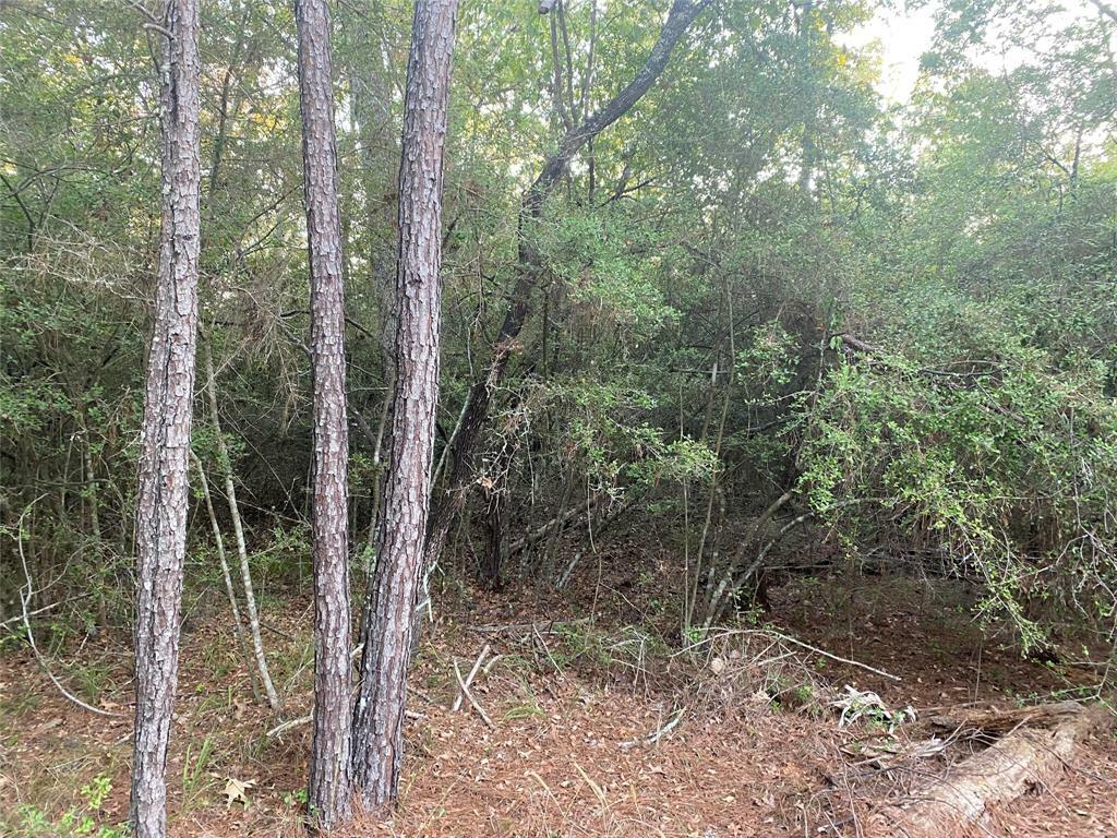 Property Photo: Tbd Peach Drive TX 77320