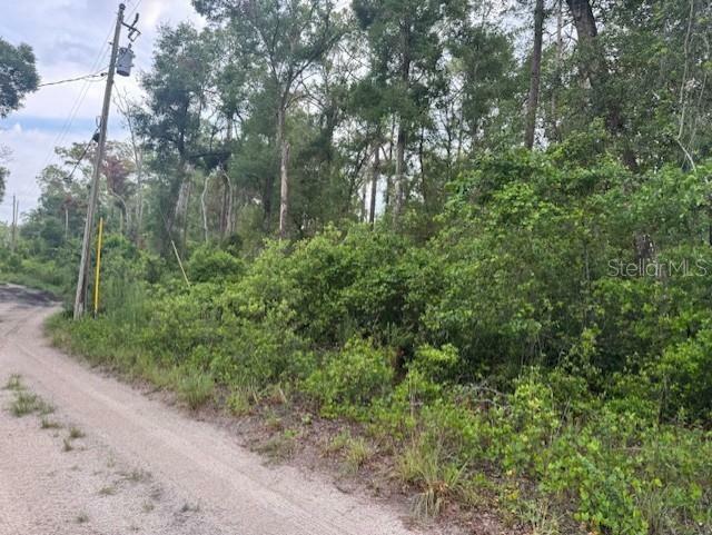 Property Photo: SW 58th Street FL 33597