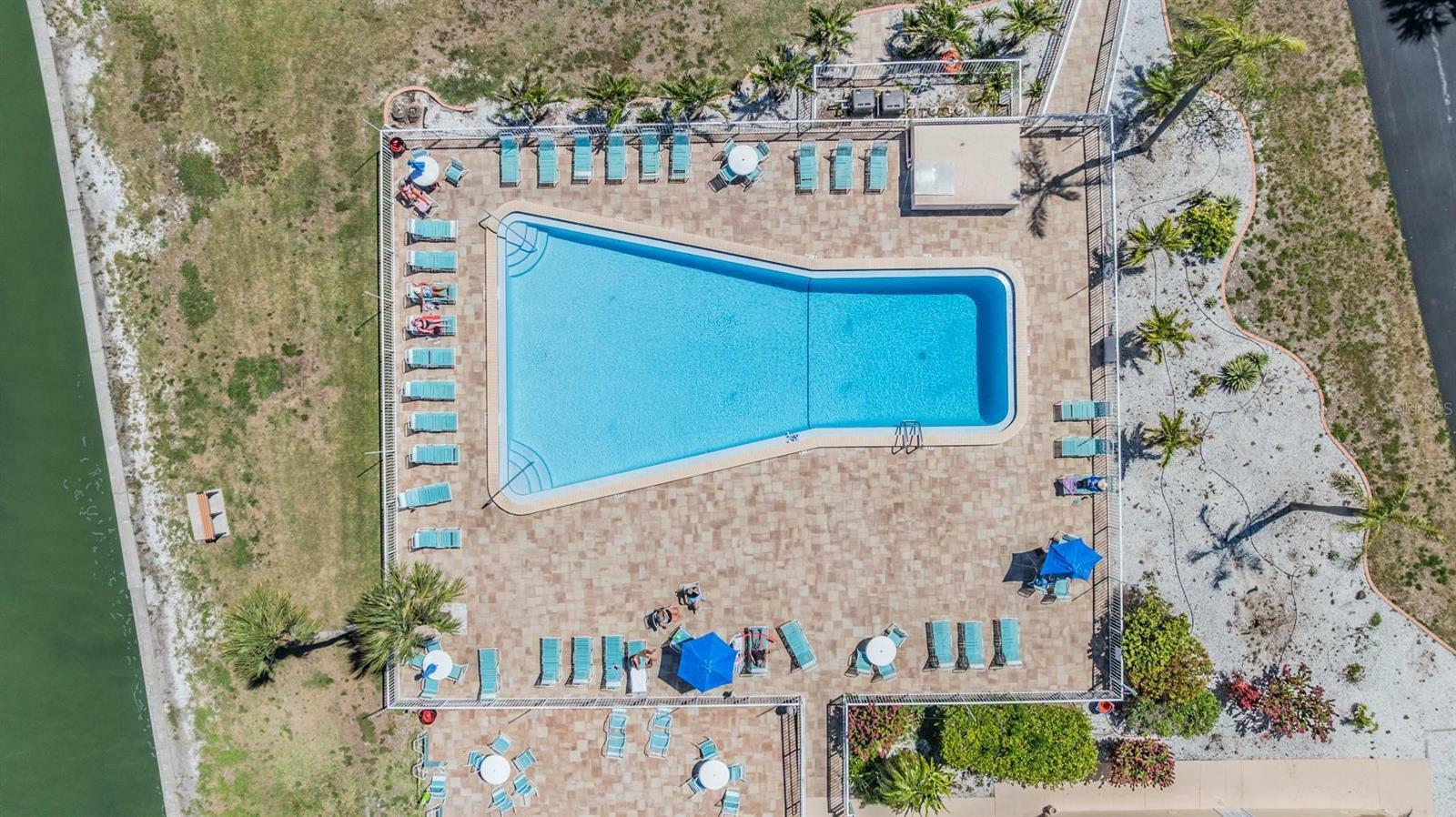 Property Photo: 7 Elgin Place 202 FL 34698