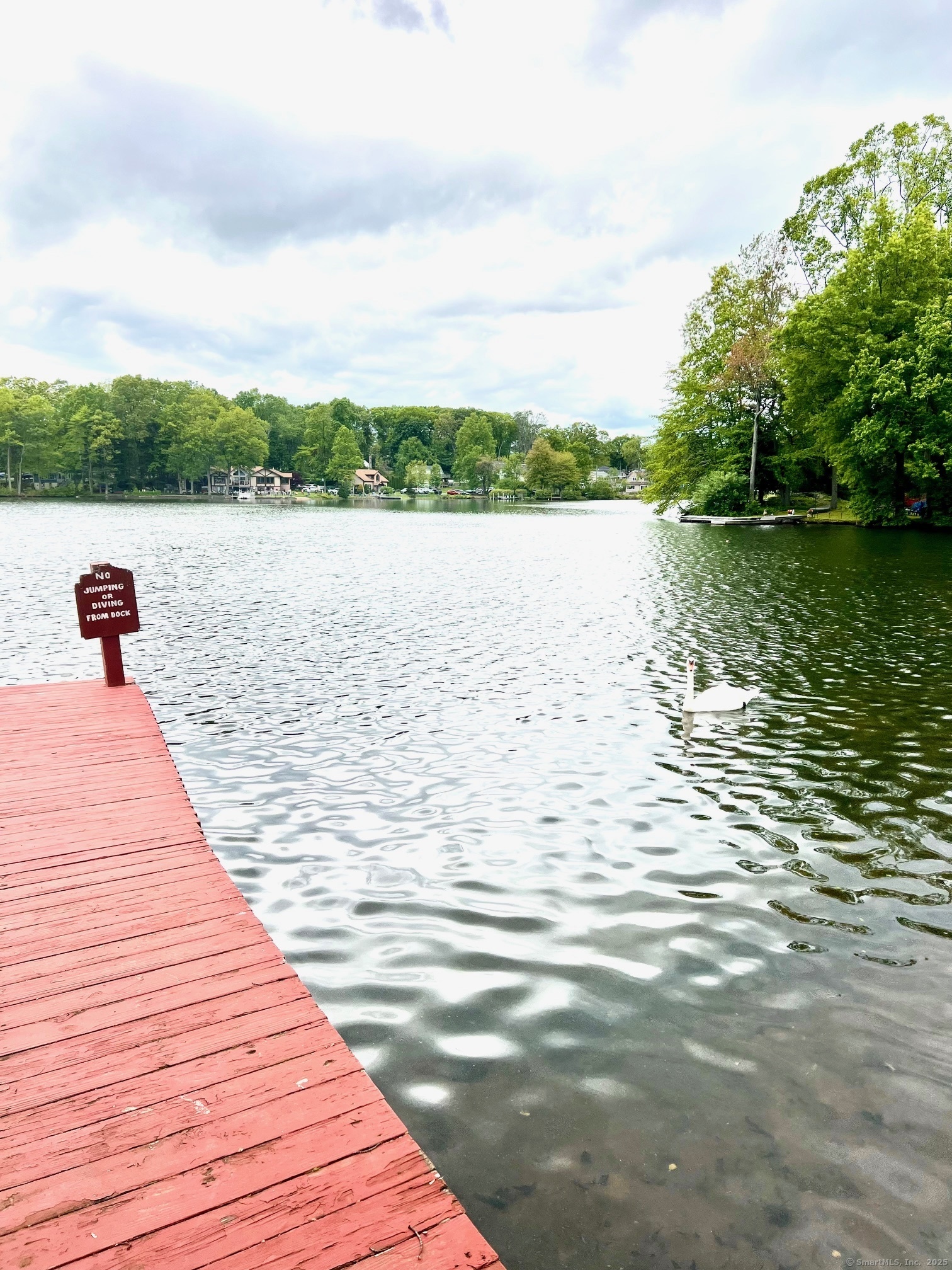 Property Photo:  13 Oak Street  CT 06716 