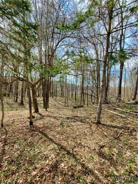 Property Photo:  7200 Kent Road  NY 14731 