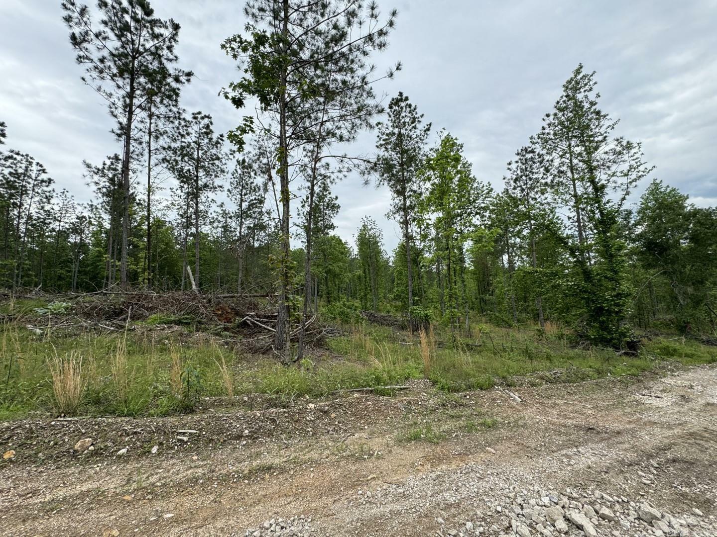 Property Photo: 000 Seven Roses Lane AR 72087