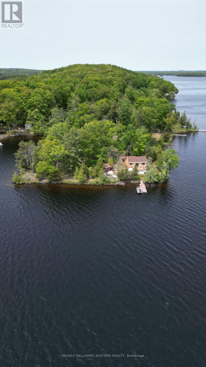 280 Big Island  Havelock-Belmont-Methuen (Belmont-Methuen) ON K0L 1Z0 photo