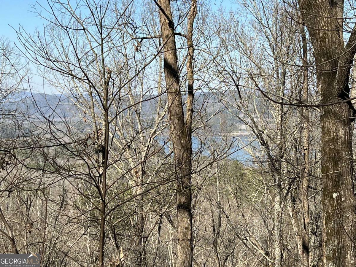 Property Photo: Lot 326 Adair Drive GA 30734