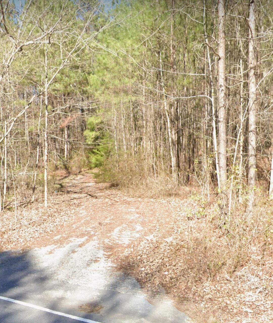 2250 County Rd 150  Quitman MS 39355 photo