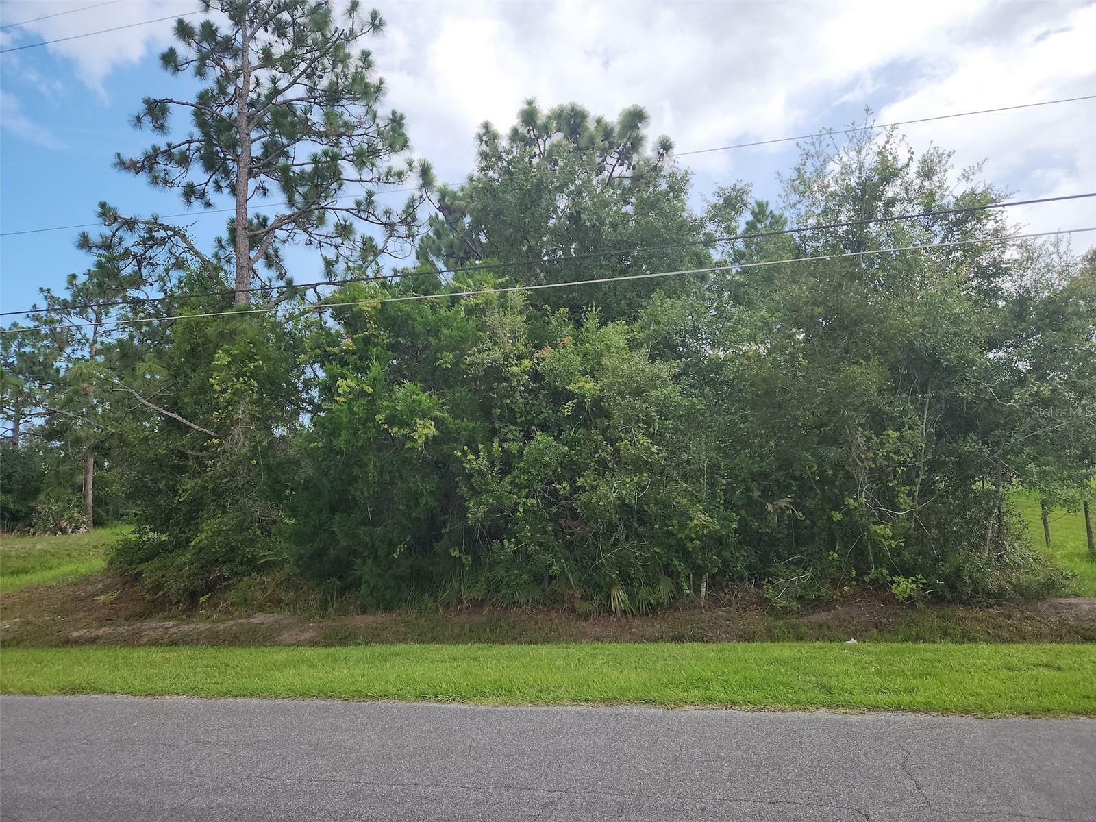 Property Photo: Ralston Street FL 32833