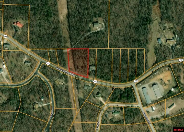 Lot 8 Buzzard Roost Road  Mountain Home AR 72653 photo