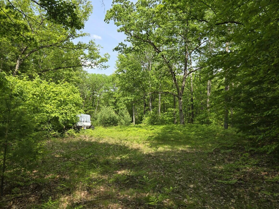 Property Photo: 00 Cypress Avenue MI 49338