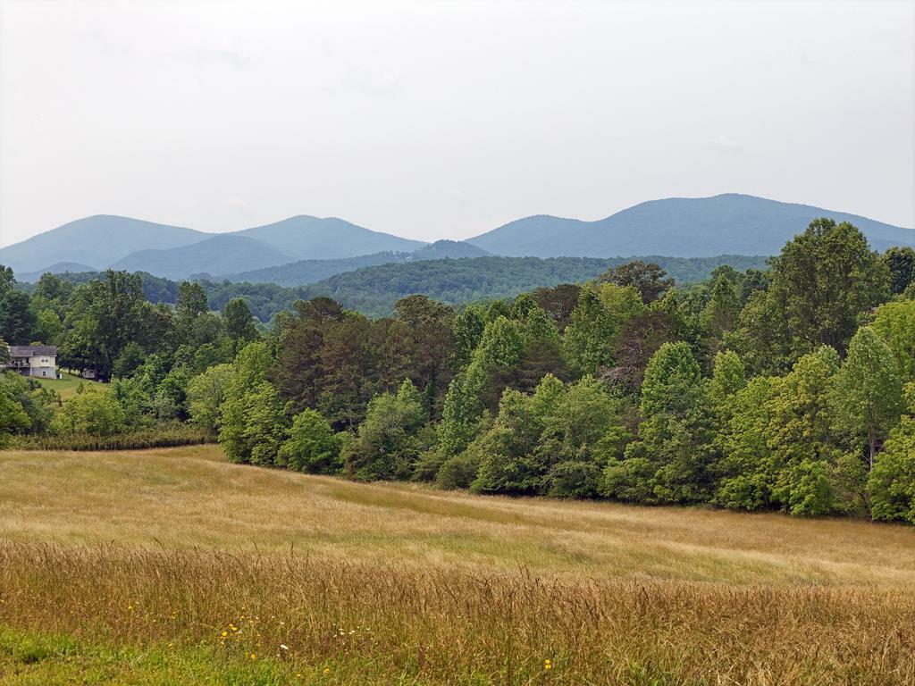 Property Photo: 7.85 Ac Lower Trackrock Road GA 30512