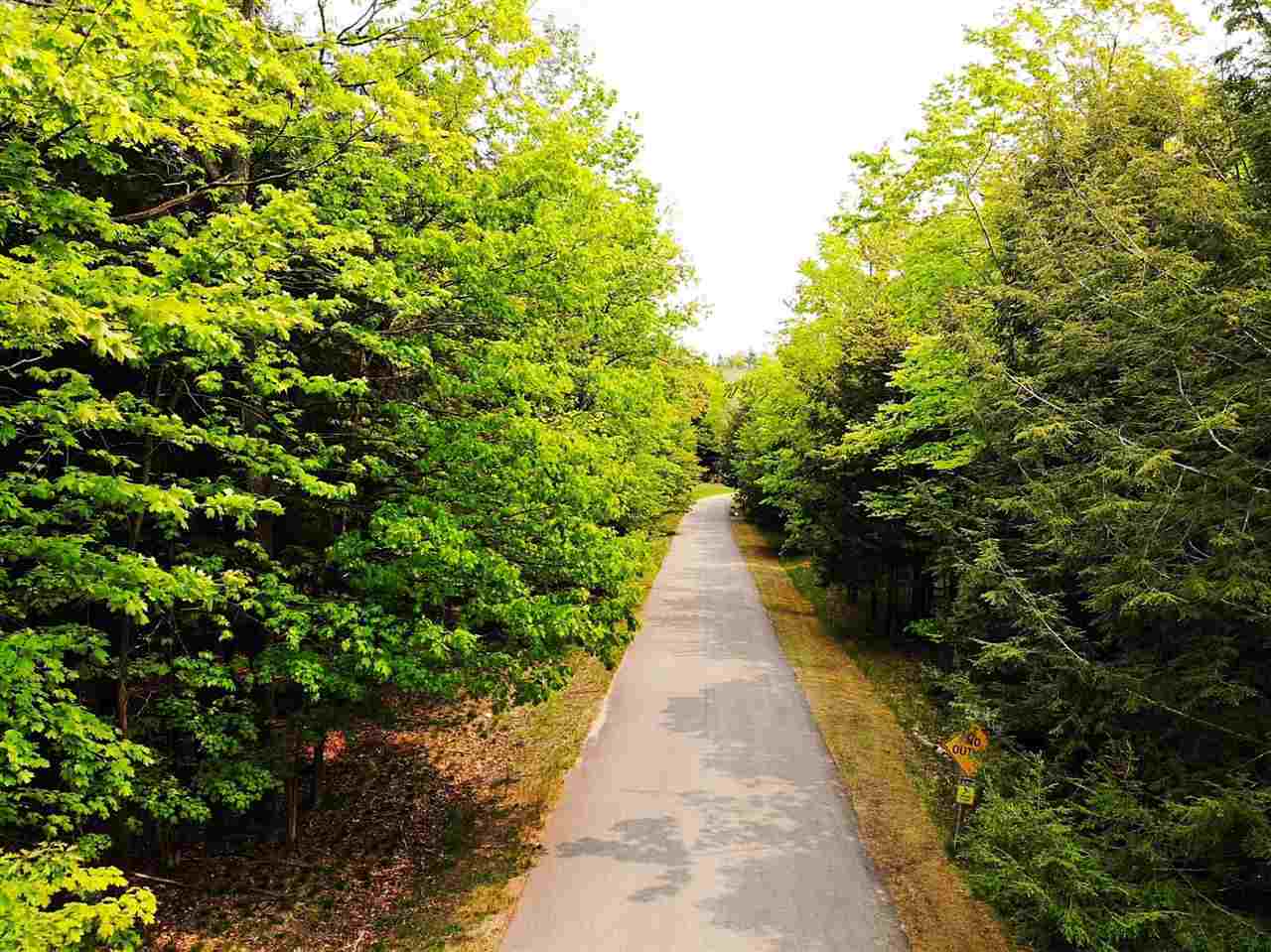 Property Photo:  5945 Lodgepole  MI 49740 