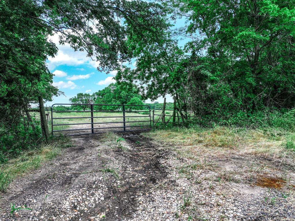 Property Photo: 66.682 Acres County Road 2190 TX 75428