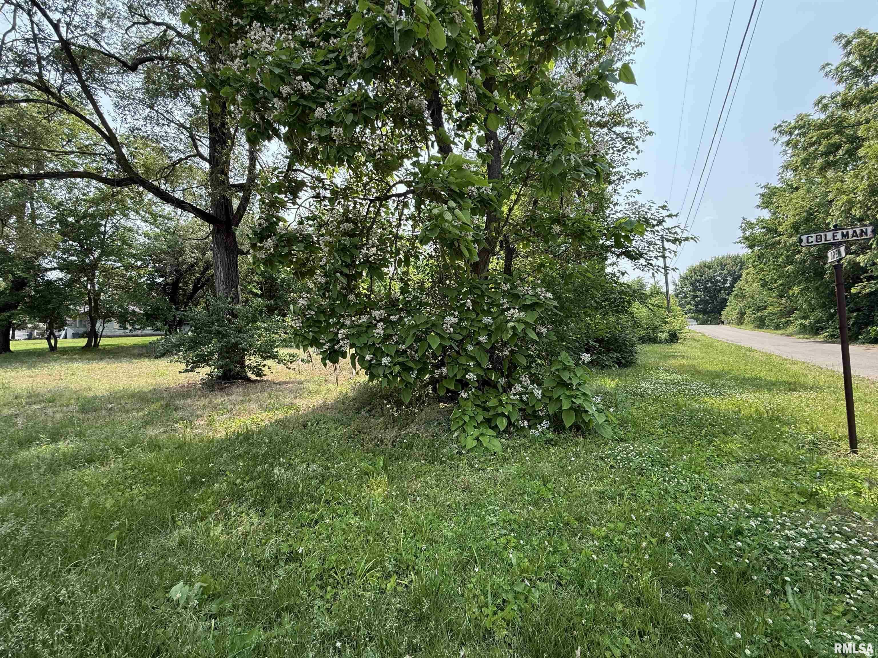 Property Photo: 702&Amp704 S Coleman Street IL 62644