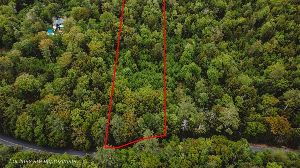 Property Photo: 0 Northfield Rd MA 01364