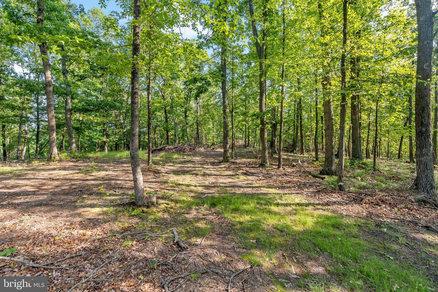 Lot A Saw Mill Road  Hedgesville WV 25427 photo