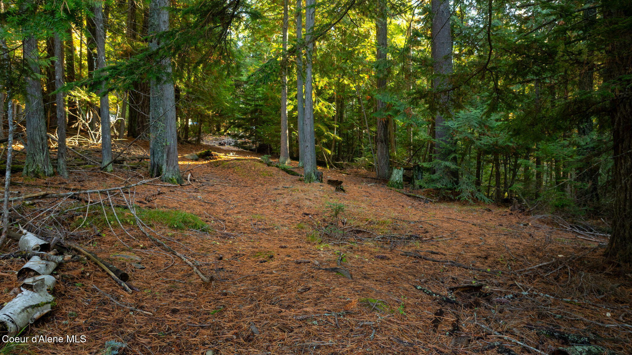 Property Photo: 9816 Bottle Bay Rd ID 83860