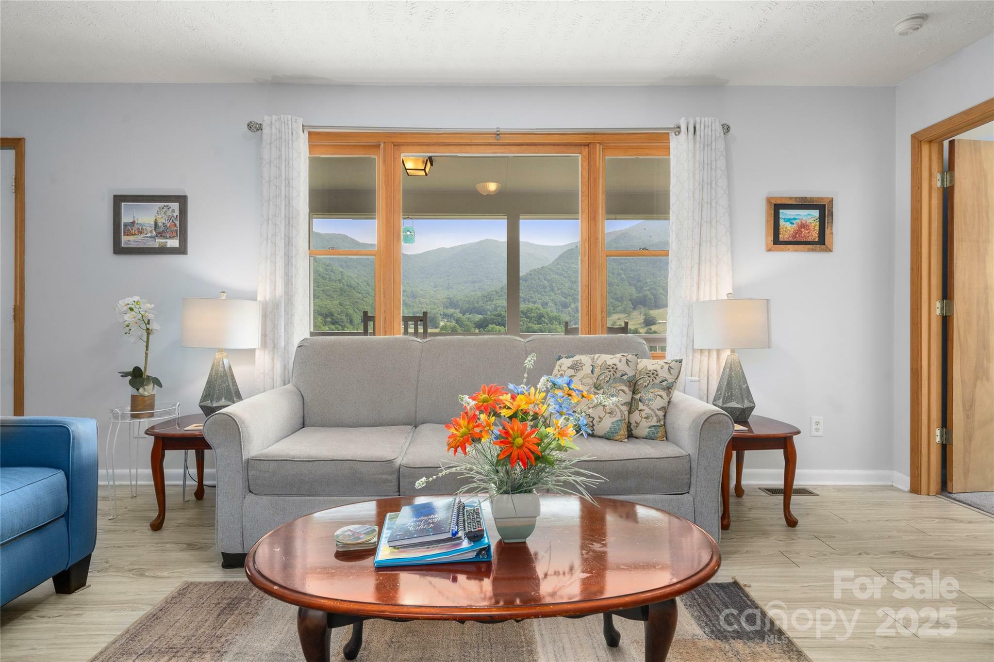 Property Photo: 262 Lewis Lane NC 28751