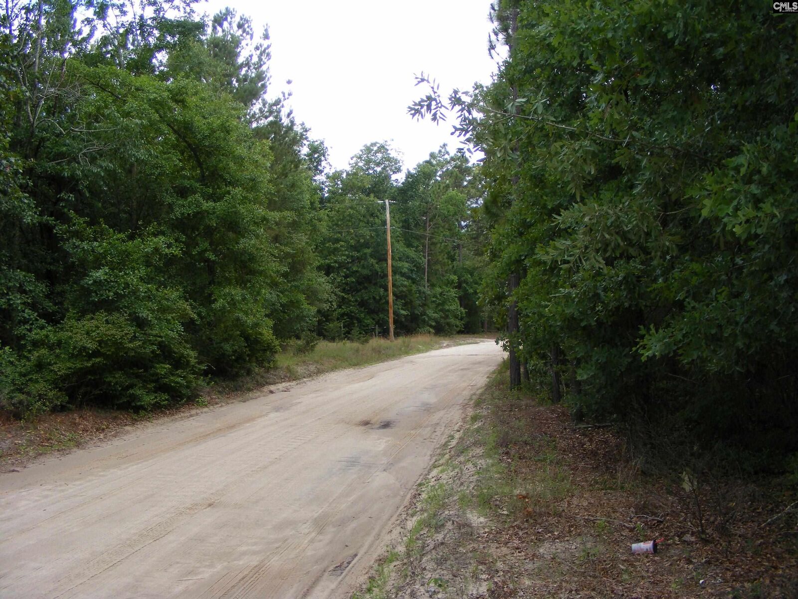 Property Photo:  133 Tom Lucas  SC 29123-0000 